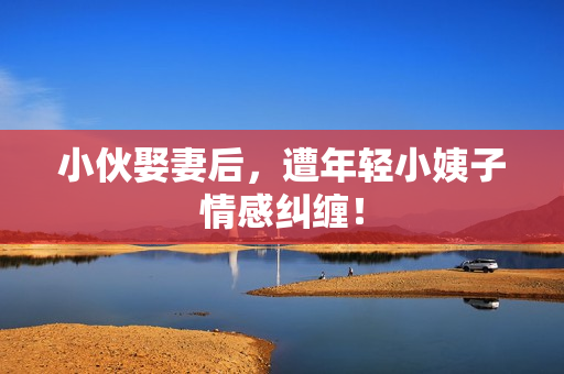 小伙娶妻后，遭年轻小姨子情感纠缠！